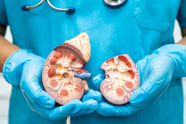 Interventional Nephrology